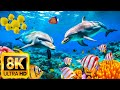 The Ocean 4K Video- Sea Animals for Relaxation, Beautiful Coral Reef Fish in Aquarium