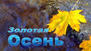 "Осенняя Красота"🍁Красивая Музыка для Души.#Звуки #природы #ручья #Шум #воды   #Антистресс #Природы