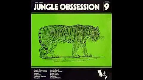 Nino Nardini & Roger Roger - Jungle Obsession (197...