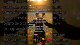 Митрополит Тихон Шевкунов — «Несвятые святые»#Благодарность