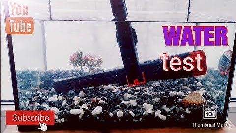 SHRXY Gp-Pointer ll review [WATER test]