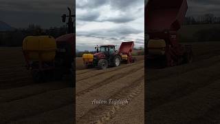 Case IH MXU 135 + Grimme GB 230 Sadenie zemiakov  #agriculture #farming #agri #farm