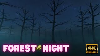 Dark Forest Video Footage - Dark Forest Strange Animation | Video 4K | Video HD
