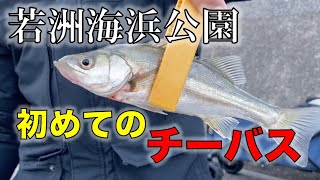若洲海浜公園で人生初めてのシーバスが釣れた シーバス釣り ソルトルアーフィッシングの爆釣速報