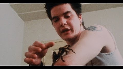 ロサンゼルスの音楽シーンを取り上げたドキュメンタリー第1弾！映画『ザ・デクライン』予告編