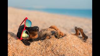 Your PTO Policy Says What You Believe About Work