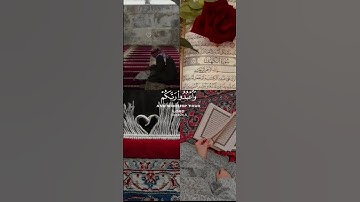 سورة الحج ❤️🫂 للقارئ اسلام صبحي🌿 #جيش_نجمة
