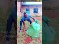 Vituko Vya Wakenya Mpuru Aburi Apokea Kichapo Ndani Ya Ngunia Vituko Vya Wakenya Mpuru Aburi Apokea Kichapo Ndani Ya Ngunia