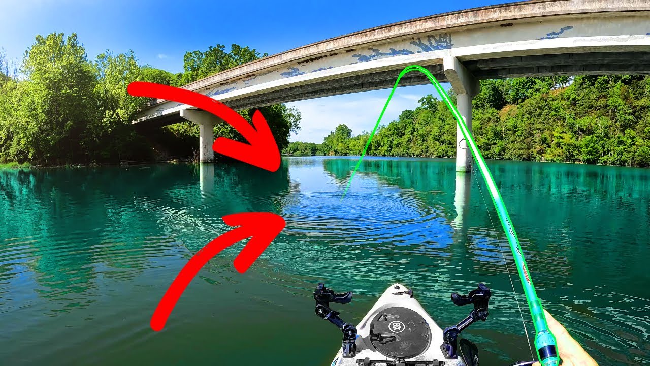 The bass were HUNGRY (Boone Lake)