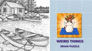 Weird Things Brain Puzzle Level 10 Duckling