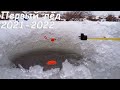 Крупный карась, ТАЩИТ в КУСТЫ! Ловля со льда, на удочку! Рыбалка зимой 2021