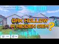 The best homes in Oak Hollow! The Villages, FL