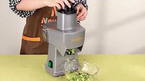 Amazoncom Newhai 4 in 1 Commercial Vegetable Chopper Multifunctional Automatic Dicer  Slicer Electri