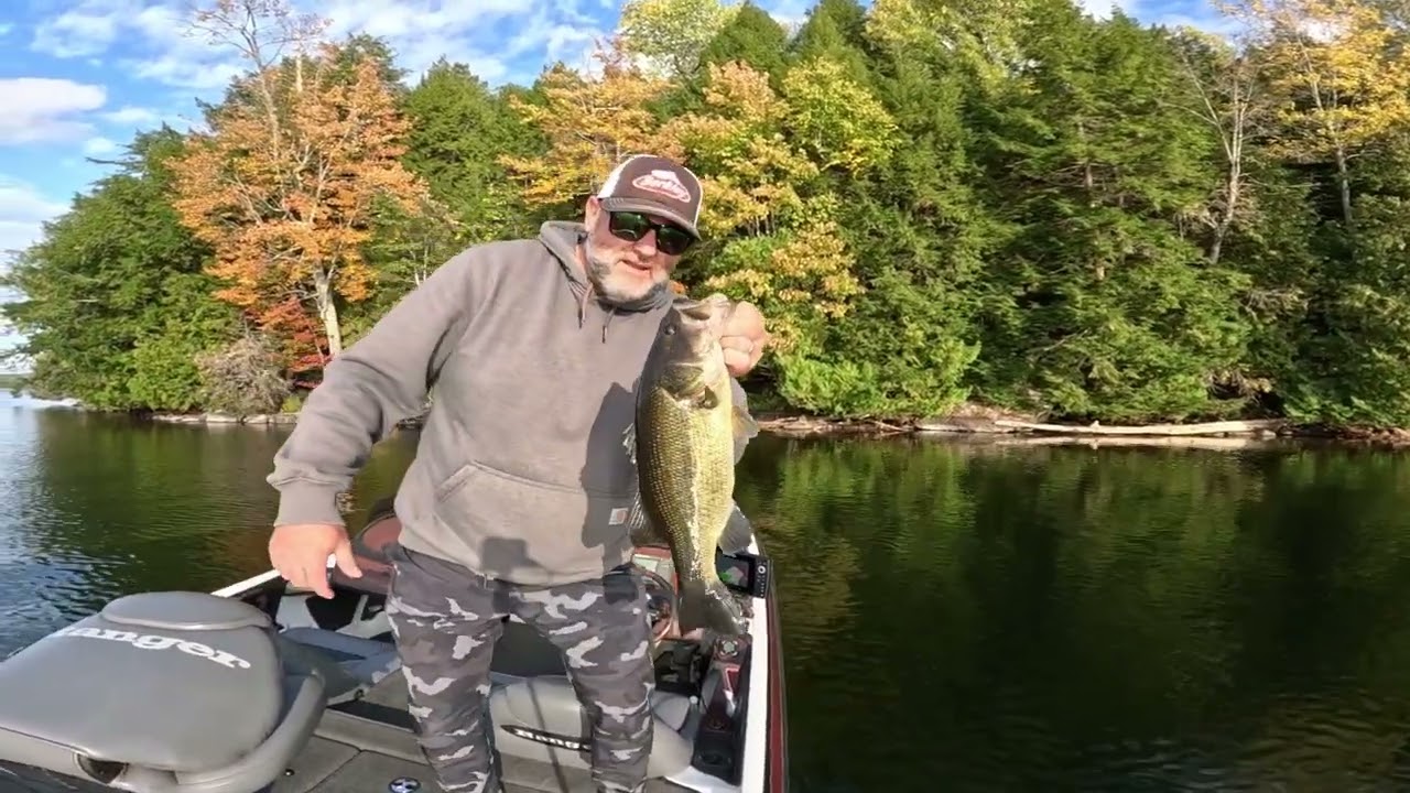 Big Topwater Hits in the Fall #fishing #bass #bassfishing