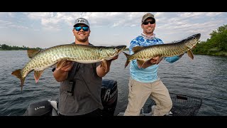 Becoming A Musky Angler 4 Muskies In 20 Minute Bite Window