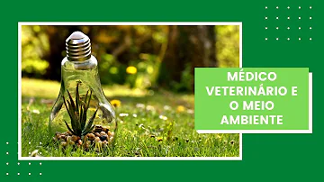Qual a importância do Médico Veterinário no meio ambiente?