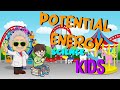 Unleashing Potential Energy Through Everyday Examples