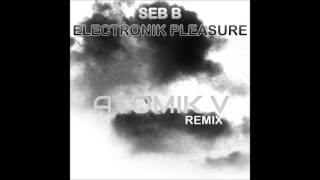 Seb B - Electronik Pleasure[Atomik V Remix]