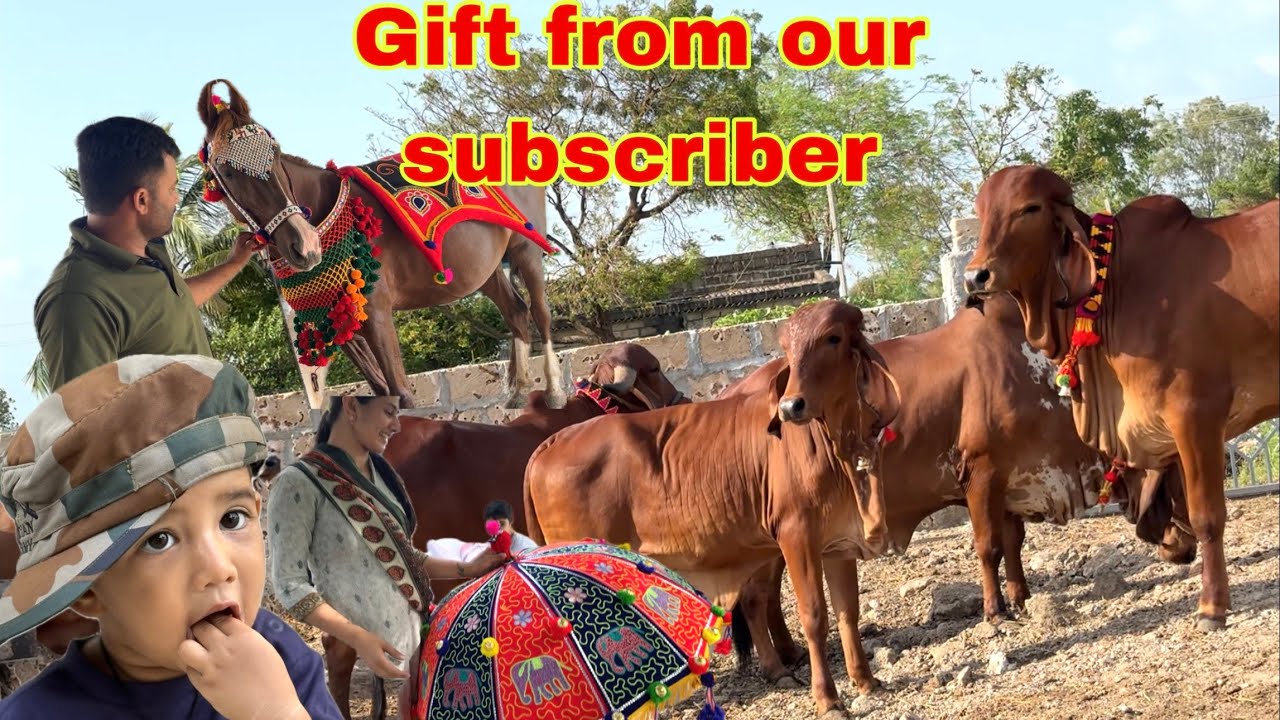 Hamari sari gayo ke liye kya gift aya hai