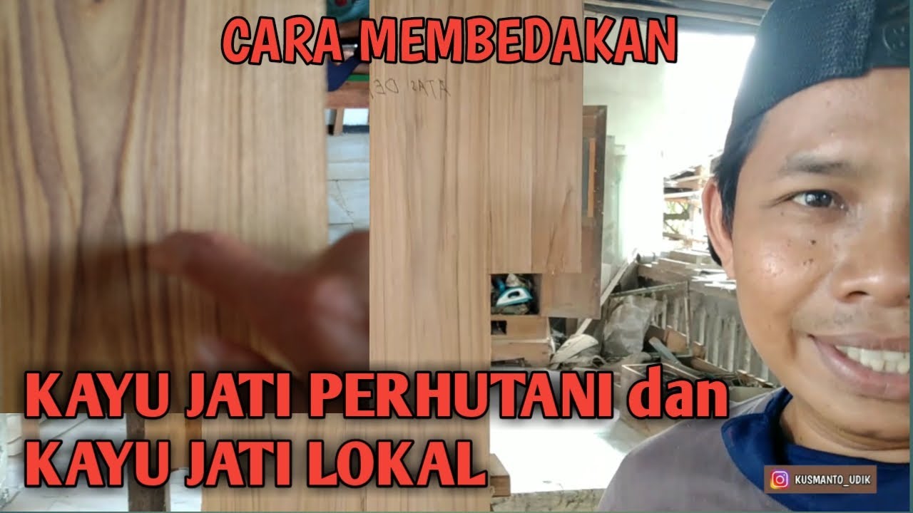 Cara Mudah Membedakan Kayu  Jati  Perhutani  Dengan kayu  jati  