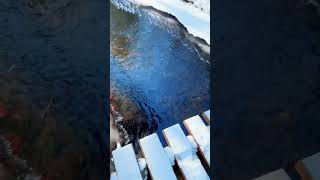 Down by the riverDi tepi sungaiRiver | Video by kylefinndempsey#footpath