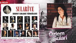 Özlem Sulari - Ben Bir Hastalığa - Sularice/Davut Sulari Türküleri - Arda Müzik 2019 Resimi