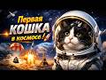 Фелисетт: Маленькая кошка с большим сердцем в безмолвном космосе