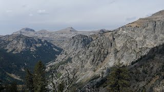 Static Peak Divide with Static Peak