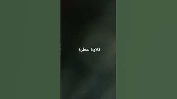 تلاوة عطرة #القرآن_الكريم #راحة_نفسية #صلوا_على_النبي #تلاوة_خاشعة #تلاوات #راحة_نفسية