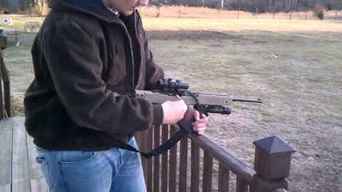 10-22 ruger gat trigger