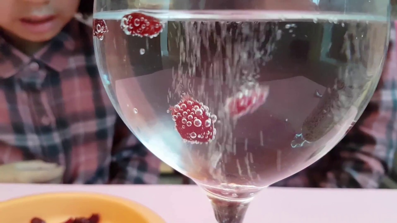 Dancing Dried Fruit Science Experiment YouTube