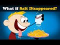 What if Salt Disappeared? | #aumsum #kids #science #education #children