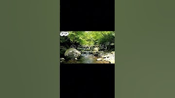 {رَبَّنَا إِنَّكَ تَعْلَمُ مَا نُخْفِي وَمَا نُعْلِنُ) تذكير عظيم برقابة الله #قرآن #تلاوة #ذكر #خش