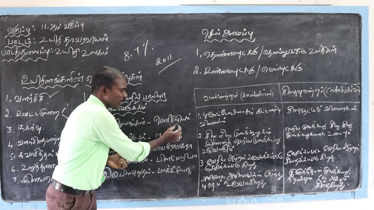 ARULAPPA SCHOOL/BIO -BOTANY/ XI -STD/ LESSON- 1 (1)