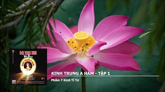Tập 1 – Phẩm 7 K.Tì Tứ 