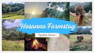 Hosanna Farmstay  travel with our 11 month old, vlog and review