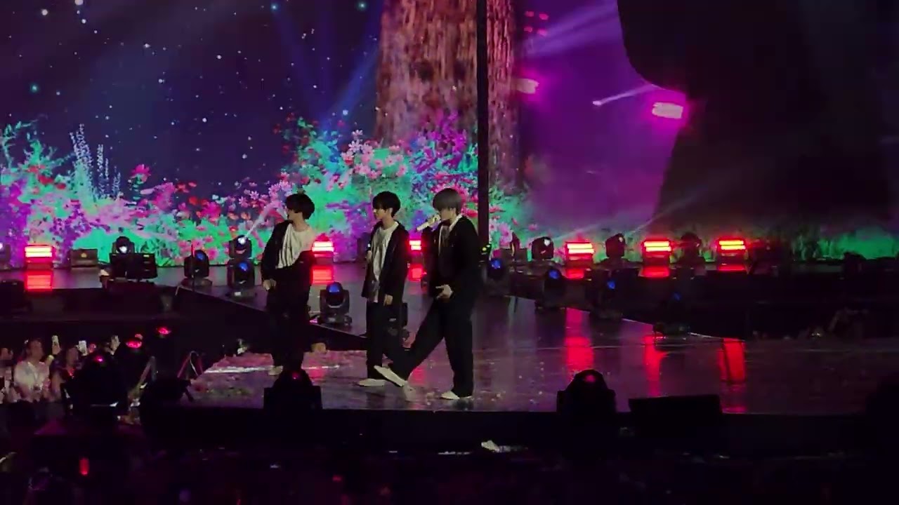 Cat and Dog (English Version) | Txt World Tour Act:Promise Chicago 2024