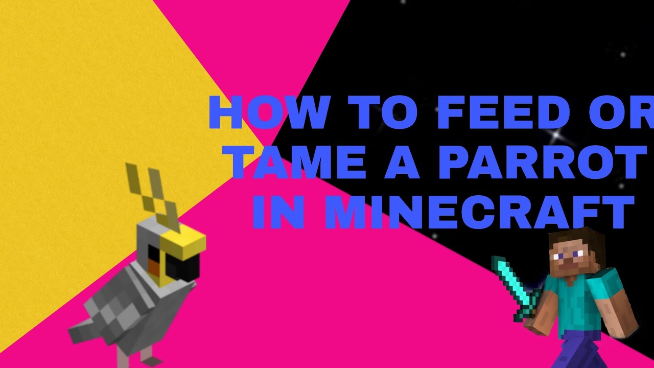HOW TO TAME OR FEED A PARROT IN MINECRAFT YouTube