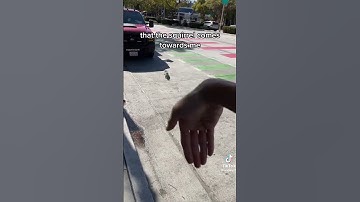 We Can Communicate with Squirrels? #shorts