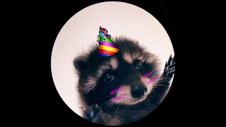 Pedro Pedro Pedro - Racoon Meme (10 Hour Full Version)