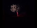 4th at the Farm