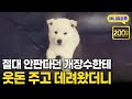 개장수로부터 겨우 데려온 강아지 은혜를 아는 천재견이었다 I KBS 동물극장 단짝 230114 방송