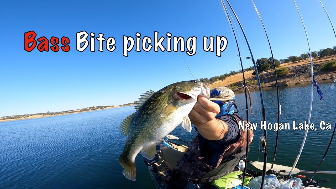 New Hogan Late Summer Bass Fishing 2023 ( Its BROKEN)
