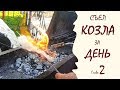 [Глава 2 из 3] 4 БЛЮДА + 4 ВИДА ШАШЛЫКА из козлятины I Съел всего козла за день