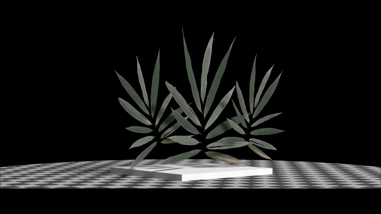 Bamboo leaves. SideFX Houdini, Karma XPU, MaterialX