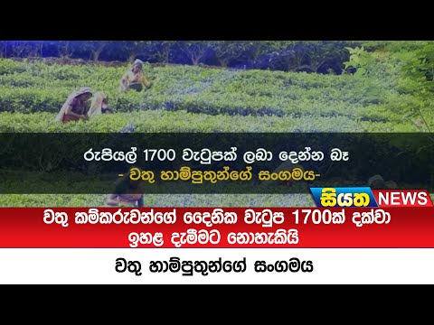 වතු කම්කරුවන්ගේ දෛනික වැටුප 1700ක් දක්වා ඉහල දැමීමට  නොහැකියි -වතු හාම්පුතුන්ගේ සංගමය | Siyatha News