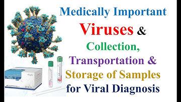 Medically Important Viruses & Collection, Transportation & Storage of Samples for Viral Diagnosis #6