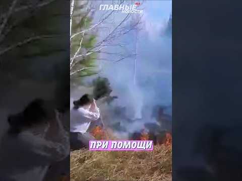 😳 Потушила лесной пожар веником и голыми руками! | Главные Новости