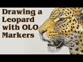 LIVE STREAM: Marker Drawing with Olo Markers