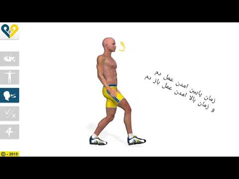 آموزش بدنسازی آنالیز حرکت لانچ با دمبل